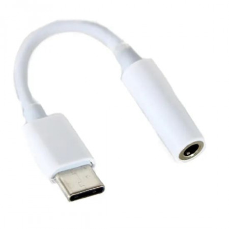 ADAPTADOR USB-C / P2 STORM ADAP0073
